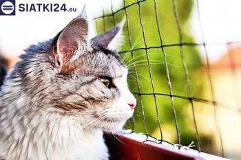 Siatki Sulejówek - Siatka na balkony dla kota i zabezpieczenie dzieci dla terenów Sulejówka