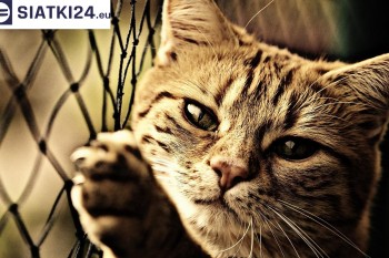 Siatki Sulejówek - Siatki na balkony - zabezpieczenie dzieci i zwierząt dla terenów Sulejówka
